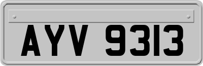 AYV9313