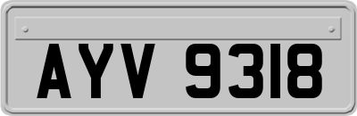 AYV9318