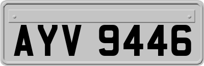 AYV9446