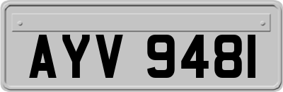 AYV9481