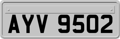 AYV9502