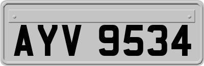 AYV9534
