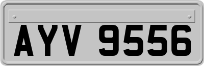 AYV9556