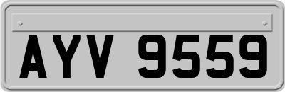 AYV9559