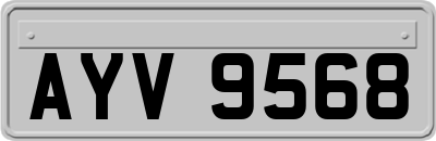AYV9568