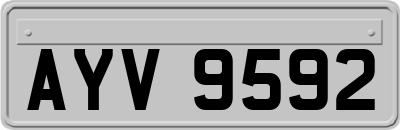 AYV9592
