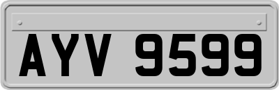 AYV9599