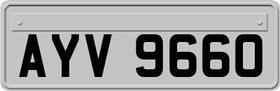 AYV9660