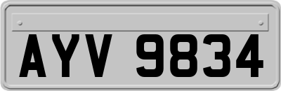 AYV9834