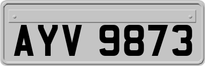 AYV9873