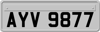 AYV9877