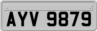 AYV9879