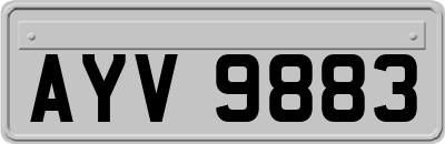 AYV9883