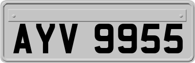 AYV9955