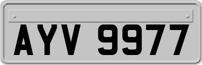 AYV9977