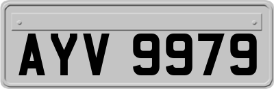 AYV9979