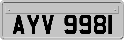 AYV9981