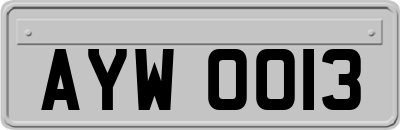 AYW0013