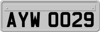 AYW0029