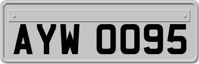 AYW0095