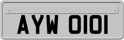 AYW0101