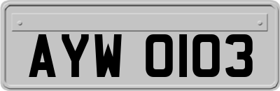 AYW0103