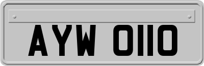 AYW0110