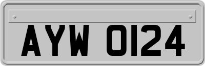 AYW0124