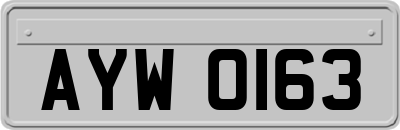AYW0163