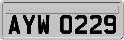 AYW0229