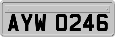 AYW0246