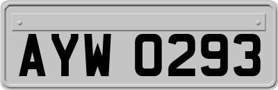 AYW0293