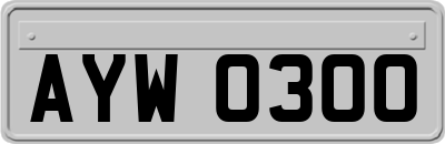 AYW0300