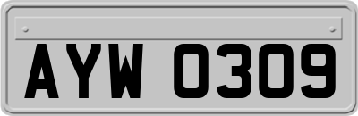 AYW0309