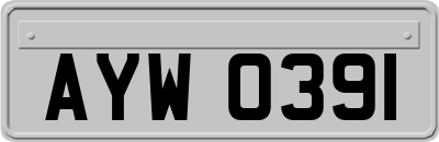 AYW0391