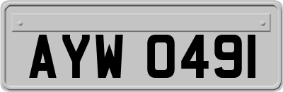 AYW0491