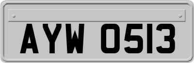AYW0513