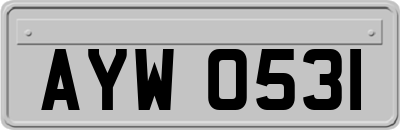 AYW0531