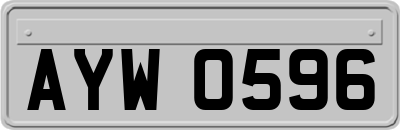 AYW0596