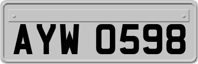 AYW0598