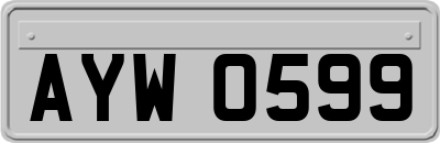 AYW0599