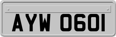 AYW0601