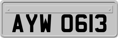 AYW0613