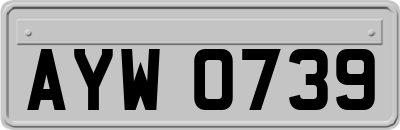 AYW0739