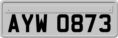 AYW0873