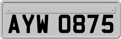 AYW0875