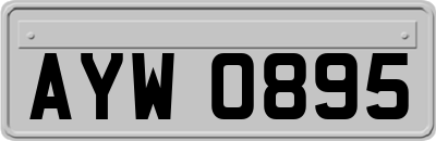 AYW0895