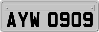 AYW0909