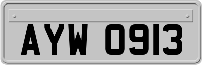 AYW0913
