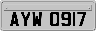 AYW0917